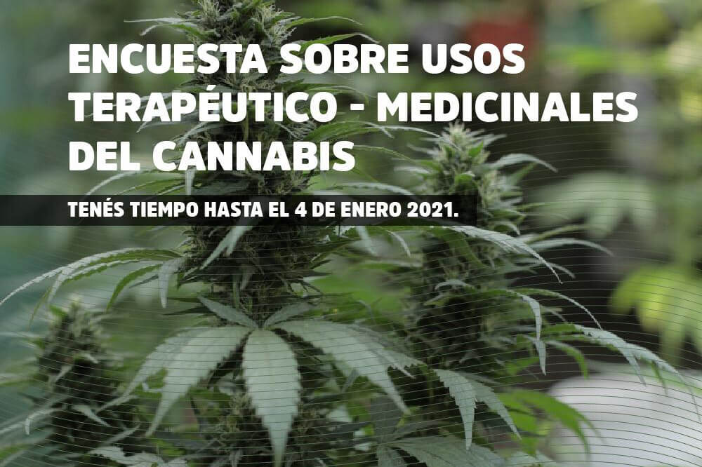 Encuesta del CONICET sobre usos terapéuticos/medicinales del cannabis
